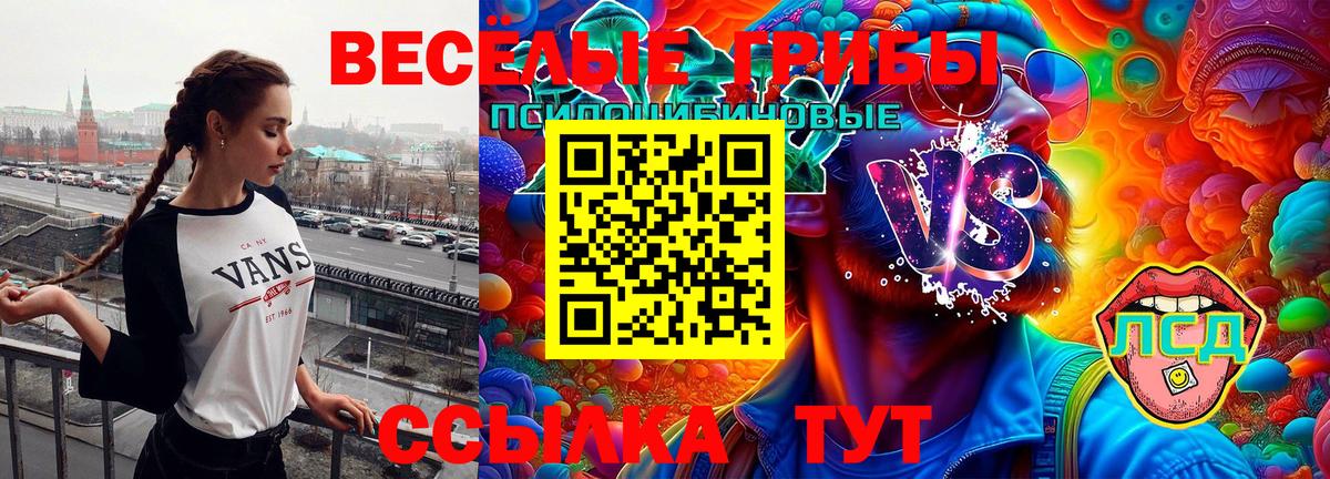 Мценск  Галлюциногенные грибы MAGIC MUSHROOMS  Вход с VPN  Галлюциногенные грибы Cubensis 
